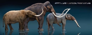 These sculptures, made by Mexican artist Sergio de la Rosa, show three elephant ancestors (from left): the mastodon, the mammoth and the gomphothere. (Photo: Sergio de la Rosa) These sculptures, made by Mexican artist Sergio de la Rosa, show three elephant ancestors (from left): the mastodon, the mammoth and the gomphothere. (Photo: Sergio de la Rosa)